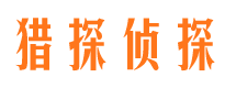 龙游侦探公司